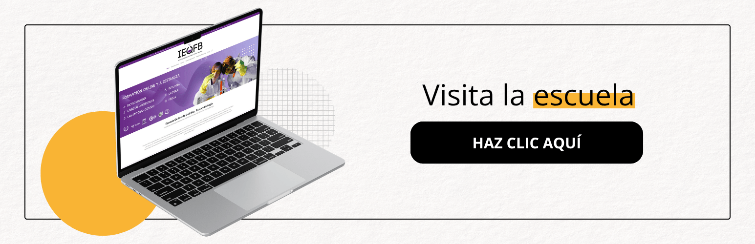 Visita la web de IEQFB