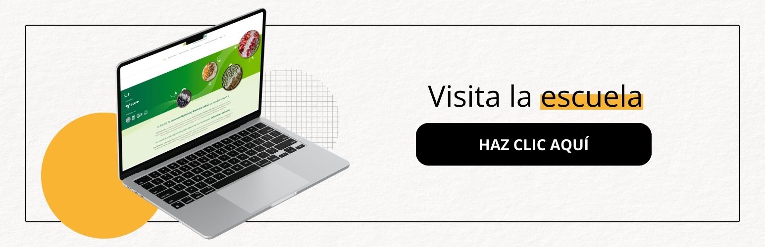 Visita la web de Instituto DYN