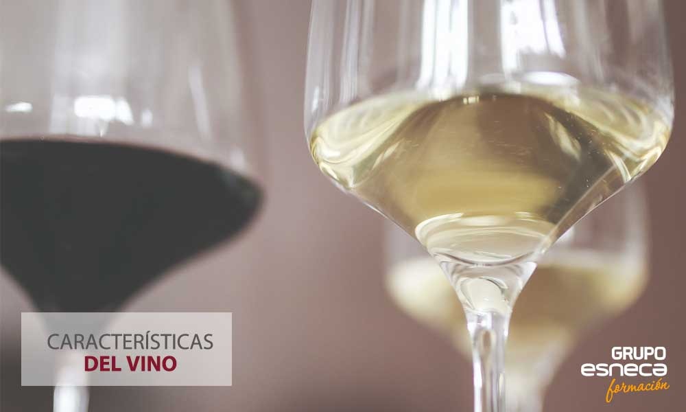Las características del vino que estudian los enólogos