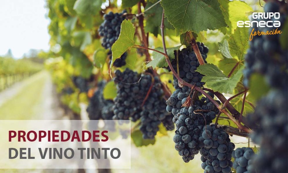 Propiedades del vino tinto para la salud - Grupo Esneca